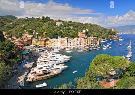 Luxus-Yachten im Hafen von Portofino mit der Stadt hinter sich, italienische Riviera, Ligurien, Italien Stockfoto