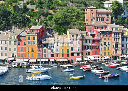 Ligurien-Portofino-Blick auf Hafen mit festgemachten Boote und Pastell farbigen Häusern entlang der Bucht mit Bäumen auf Hügeln hinter Stockfoto