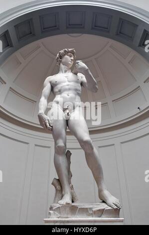 Statue des David von Michelangelo in der Galeria Dell Accademia, Florenz, Toskana, Italien Stockfoto