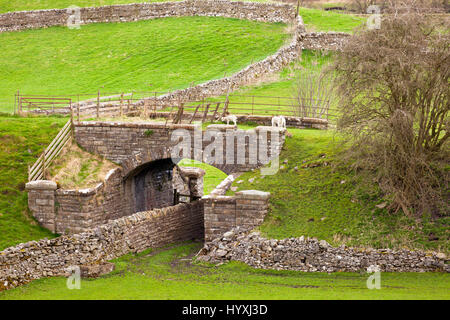 Trockenmauer und Brücke in der Nähe der Stadt Hawes in den Yorkshire Dales, UK Stockfoto