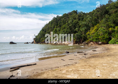 Paku Strand im Bako Nationalpark, Borneo, Malaysia Stockfoto