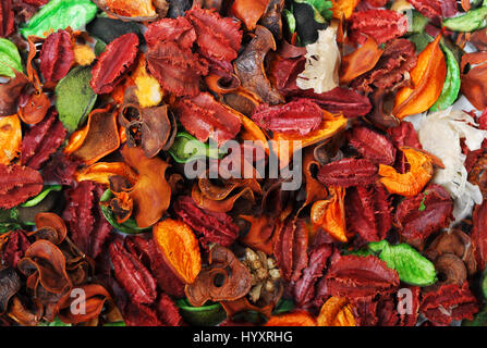 Viele verschiedene trockene Blätter Stockfoto