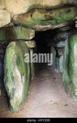 Neolithischen Dolmen Beerdigung Denkmal, West Kennet, in der Nähe von Avebury, Wiltshire, England, UK Stockfoto