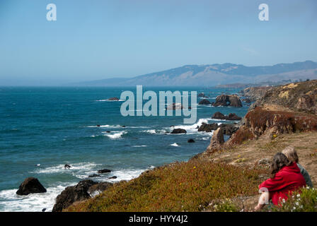 Sonoma Coast State Park, Nordkalifornien. Wo die russischen Fluß trifft das Meer Stockfoto