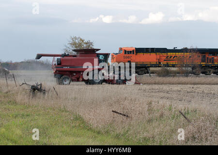 Ernte von Sojabohnen in Iowa als eine BNSF übergibt Güterzug. Stockfoto