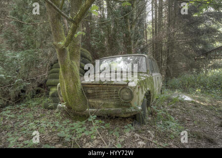 Dieses Fahrzeug wird ein Baum wächst aus ihm heraus. BEEINDRUCKENDE Bilder zeigen die gefährdete Schönheit der verlassenen Autos, die geblieben sind, um im Laufe der Jahre zu rosten. Die Auflistung der spektakuläre Bilder zeigen, wie ein VW Käfer, Citroën C2 und sogar einen Ferrari Natur und Schutthaufen übernommen wurden. In anderen Aufnahmen ein Mercedes Benz ist mit Efeu überwachsen und eine altmodische BMW geblieben in einer Garage mit einem einstürzenden Dach und Schmutz auf dem Boden. Ein Ford-Fahrzeug wurde auch in den Wäldern vergessen und ein Auto scheint sogar einen Baum wächst daraus zu haben. Die eindringlichen Bilder waren ta Stockfoto