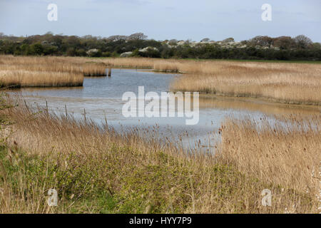 Allgemeine Ansichten Pagham Strand und Geschäfte auf der South Coast, West Sussex, UK. Stockfoto