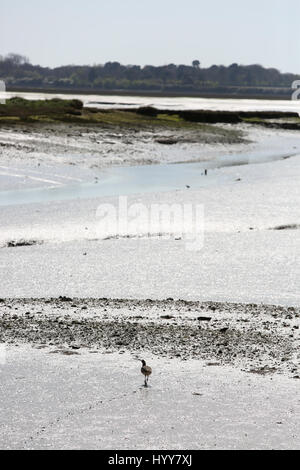 Allgemeine Ansichten Pagham Strand und Geschäfte auf der South Coast, West Sussex, UK. Stockfoto