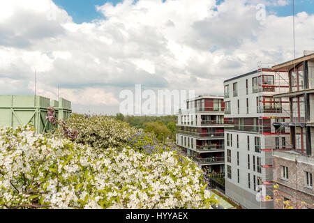 Botanischer Garten befindet sich auf dem Dach von Warschau Universität Bibliothek Stockfoto