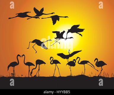 Flamingos und Sonnenuntergang Stock Vektor