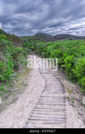 Ein Fußweg mit Holzsäulen führt in die Ferne durch ein kleines Waldgebiet in Richtung einer fernen Bergkette mit einem stürmischen Himmel bedeckt Stockfoto