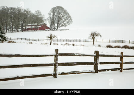 Willamette Valley Zaun im Schnee, Marion County, Oregon Stockfoto