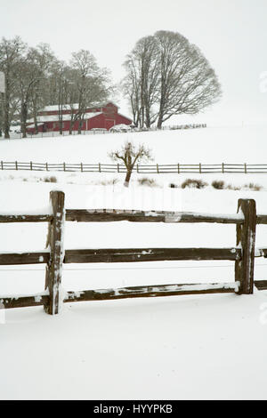 Willamette Valley Zaun im Schnee, Marion County, Oregon Stockfoto