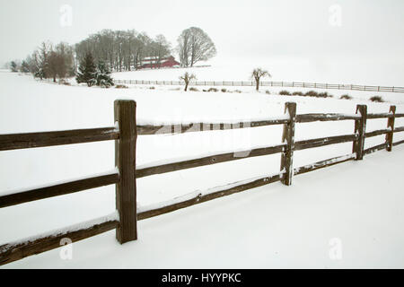 Willamette Valley Zaun im Schnee, Marion County, Oregon Stockfoto