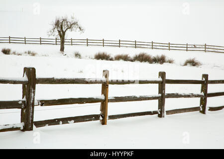 Willamette Valley Zaun im Schnee, Marion County, Oregon Stockfoto