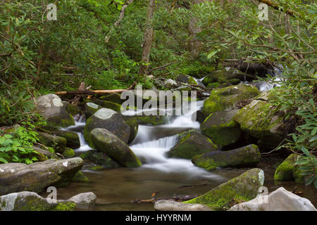 Seidiger, lang ausgesetzter Bach, der über moosige Felsen in einem üppigen grünen Wald fließt und eine friedliche, natürliche und beruhigende Waldlandschaft schafft. Stockfoto