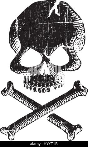 Schädel. Vector Illustration. Stock Vektor