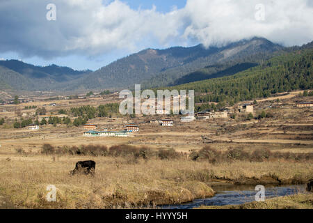 Phobjkha Valley ist bekannt für seine Kartoffeln und schwarzen necked Kran (Bhutan) Stockfoto