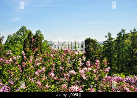 Kultige Blick auf ein Kloster Vydubitsky und Dnjepr von einem botanischen Garten Kiew mit blühenden Flieder, Ukraine. Stockfoto