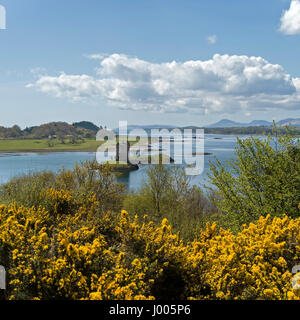 Castle Stalker an der schottischen Westküste am Ufer von Loch Laich und Loch Linnhe, Appin, Argyll, Schottland, Großbritannien. Stockfoto