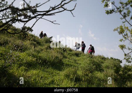 Senioren-Wanderer auf einem anstrengenden Aufstieg eines steilen Hügels bei Wanderungen in der Macchie. Die Menashe Höhen am südlichen Ende des Berges Karmel. Stockfoto