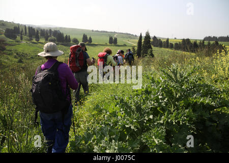 Eine Gruppe von Senioren Wanderer Fuß in der grünen Landschaft. Durch Ein Hashofet in den Höhen Menashe, Südende des Karmel Ridge, Israel. Stockfoto