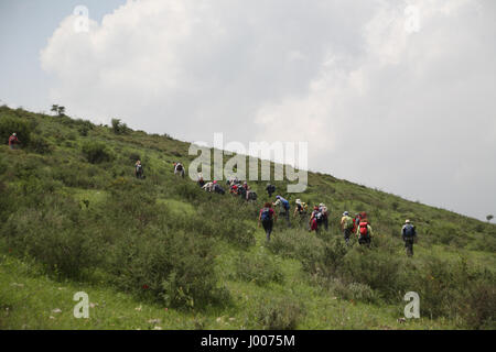 Eine Gruppe von Senioren Wanderer in das Unterholz Wandern und Klettern einen steilen Hügel. Die Menashe Höhen am südlichen Ende des Karmel Ridge, Israel. AP Stockfoto