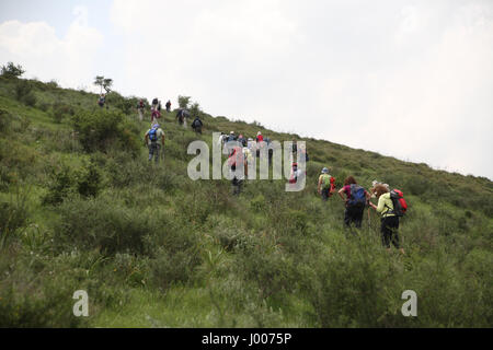 Eine Gruppe von Senioren Wanderer in das Unterholz Wandern und Klettern einen steilen Hügel. Die Menashe Höhen am südlichen Ende des Karmel Ridge, Israel. AP Stockfoto