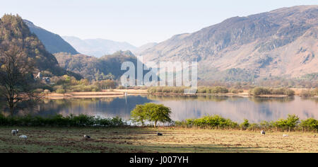 Schroffe Wäldern bedeckten Bergen von Jaws Borrowdale ragen Derwent Water See im englischen Lake District National Park an einem sonnigen Tag. Stockfoto