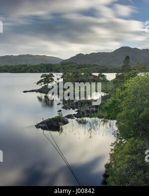 Kleine einheimische Bäume stehen an den felsigen Ufern des Muckross Lake im Killarney National Park in der irischen Grafschaft Kerry. Stockfoto