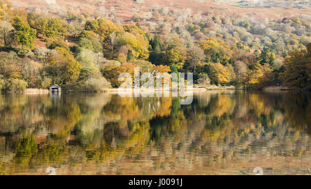 Bäume anzeigen Herbst Farben sind in Rydal Wasser See in England Lake District National Park wider. Stockfoto