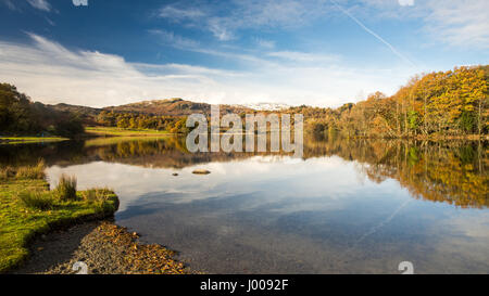 Bäume im Herbst Farben spiegeln sich in Rydal Wassersee, eingebettet unter schneebedeckten Bergen, im englischen Lake District National Park. Stockfoto