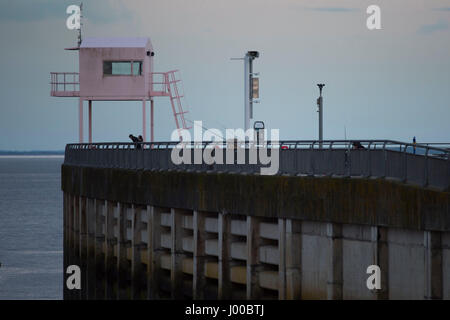 Ein rosa Wachturm am Hafen Wand in Cardiff Bay, South Wales, UK. Stockfoto