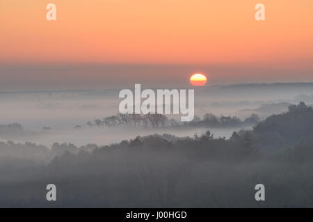 Corfe Castle, Dorset, UK. 8. April 2017. Glorreiche nebligen knackig Sonnenaufgang über der Insel von Purbeck Poole Hafen blickt. © DTNews/Alamy Leben Stockfoto