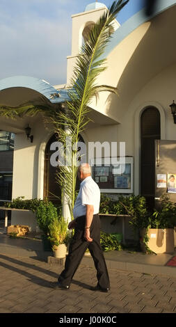 Adelaide, Australien. 8. April 2017. Kirchen in Adelaide sind mit Palmen für den Beginn der Karwoche und Ostern geschmückt. Am Palmsonntag erinnert an den Einzug Jesu in Jerusalem vor Karfreitag Credit: Amer Ghazzal/Alamy Live-Nachrichten Stockfoto