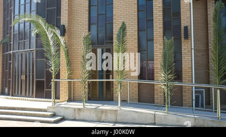 Adelaide, Australien. 8. April 2017. Kirchen in Adelaide sind mit Palmen für den Beginn der Karwoche und Ostern geschmückt. Am Palmsonntag erinnert an den Einzug Jesu in Jerusalem vor Karfreitag Credit: Amer Ghazzal/Alamy Live-Nachrichten Stockfoto