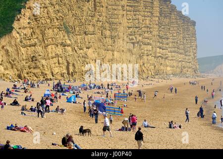 West Bay, Dorset, UK. 8. April 2017. Menschenmassen strömen in West Bay Beach in Dorset gerne was sieht aus wie der wärmste Tag des Jahres. Bildnachweis: Tom Corban/Alamy Live-Nachrichten Stockfoto