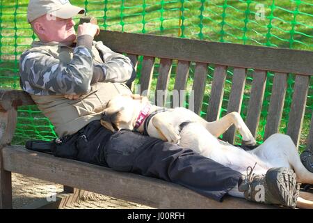 London: 8. April 2017.  Londoner und Touristen und Hunde genießen Sie schöne Sonne in St James' Park, wie Tempertures sind voraussichtlich 20 ° C erreichen. Kredit-Claire Doherty Alamy/Live News. Stockfoto