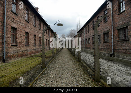 Oswiecim, Polen. 20. März 2017. 20170320 - ein Kies-Gang, flankiert durch Stacheldrahtzäune (einmal elektrifiziert) an das Stammlager Auschwitz in Oswiecim, Polen, teilt das ehemalige Gefangenenlager rechts, vom camp Verwaltungsgebäude auf der linken Seite. Bildnachweis: Chuck Myers/ZUMA Draht/Alamy Live-Nachrichten Stockfoto