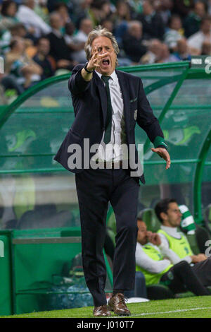 Lissabon, Portugal. 8. April 2017. 8. April 2017. Lissabon, Portugal. SportingÕs Cheftrainer von Portugal Jorge Jesus in Aktion während des Spiels Sporting CP V Boavista FC Credit: Alexandre de Sousa/Alamy Live News Stockfoto