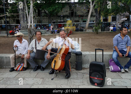 Oaxaca-Stadt, Oaxaca, Mexiko. 8. April 2017. Musiker spielt für Menschen im El Zocalo Park in Oaxaca-Stadt am 27. März 2017 in Oaxaca. Bildnachweis: Sandy Huffaker/ZUMA Draht/Alamy Live-Nachrichten Stockfoto