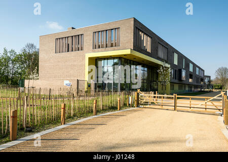Die neue Oase Academy Putney. Die Schule befindet sich auf dem Gelände des ehemaligen Krankenhauses Putney auf Putney, London, UK Stockfoto