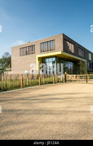 Die neue Oase Academy Putney. Die Schule befindet sich auf dem Gelände des ehemaligen Krankenhauses Putney auf Putney, London, UK Stockfoto