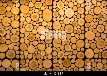 Schneiden Sie aus Holz Ringe, Dekoration Wand Paneele Closeup. Holz Scheibe Inneneinrichtung. Natürliche Struktur. Tree Stump dekorative Fliesen Stockfoto
