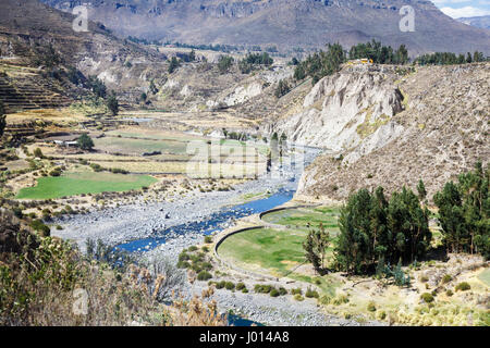 Aride Landschaft mit Prä-Inka und Inka-Terrassen, Rio Colca Tal von Colca Lodge Hotel, Colca Canyon, Yanque, Caylloma Provinz, Region Arequipa, Peru Stockfoto