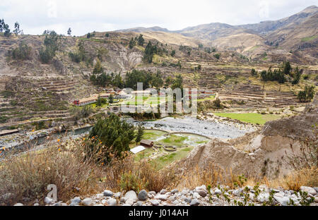 Prä-Inka und Inka-Terrassen am Hang in der Nähe von Colca Lodge Spa & Hot Springs Hotel im Colca Canyon, Yanque, Caylloma Provinz, Region Arequipa, Peru Stockfoto