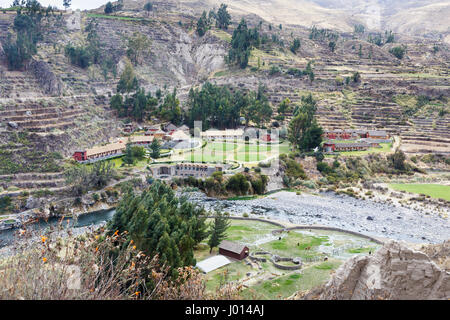 Inka und Prä-Inka-Hang-Terrassen in der Nähe von Colca Lodge Spa & Hot Springs Hotel im Colca Canyon, Yanque, Caylloma Provinz, Region Arequipa, Peru Stockfoto