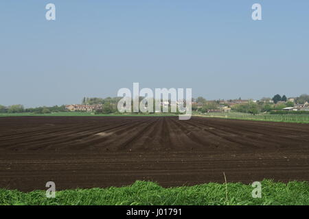 Neu gepflügt Felder auf Süd Fen mit dem Dorf Sutton-in-the-Isle im Hintergrund Stockfoto