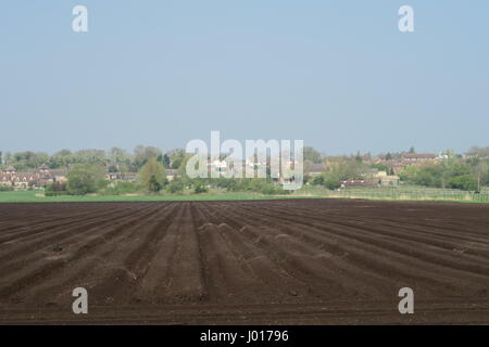 Neu gepflügt Felder auf Süd Fen mit dem Dorf Sutton-in-the-Isle im Hintergrund Stockfoto