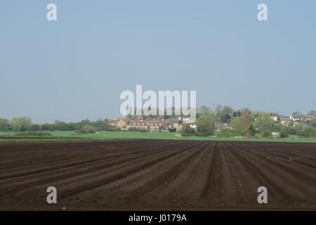 Neu gepflügt Felder auf Süd Fen mit dem Dorf Sutton-in-the-Isle im Hintergrund Stockfoto